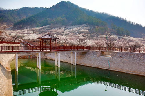 全域發(fā)力精準(zhǔn)治理 城陽探索農(nóng)村人居環(huán)境整治提升新路徑鳳凰網(wǎng)青島