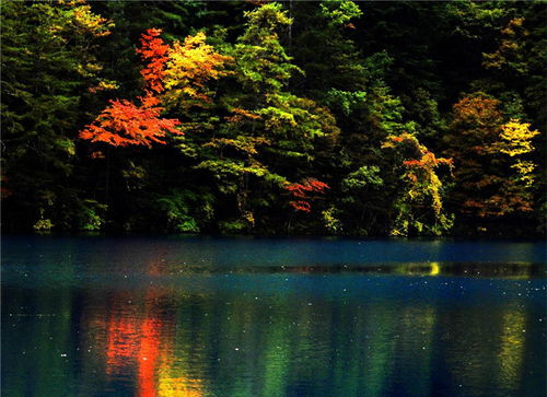 五彩藏區 四川網絡廣播電視臺