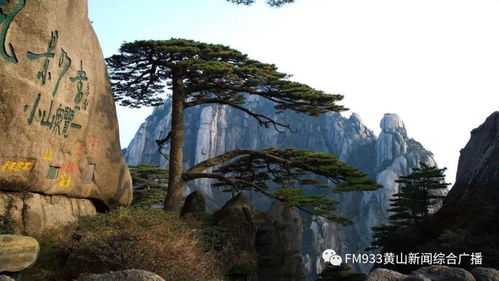 我市出臺景區(qū)有序開放工作指南