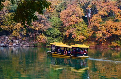 北京市屬公園31項(xiàng)重陽活動(dòng)送祝福